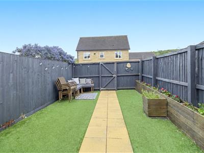 Picture 12